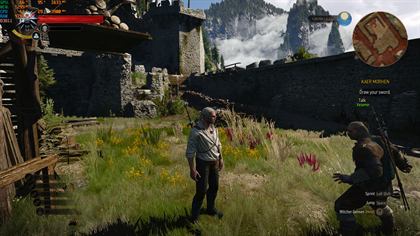 The Witcher 3 sur GTX 1060, 60 images par seconde en 1080p