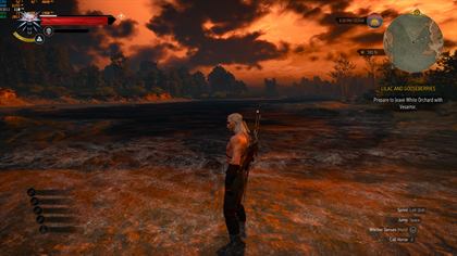 The Witcher 3 sur RTX 2070 Super, 110 images par seconde en 1440p