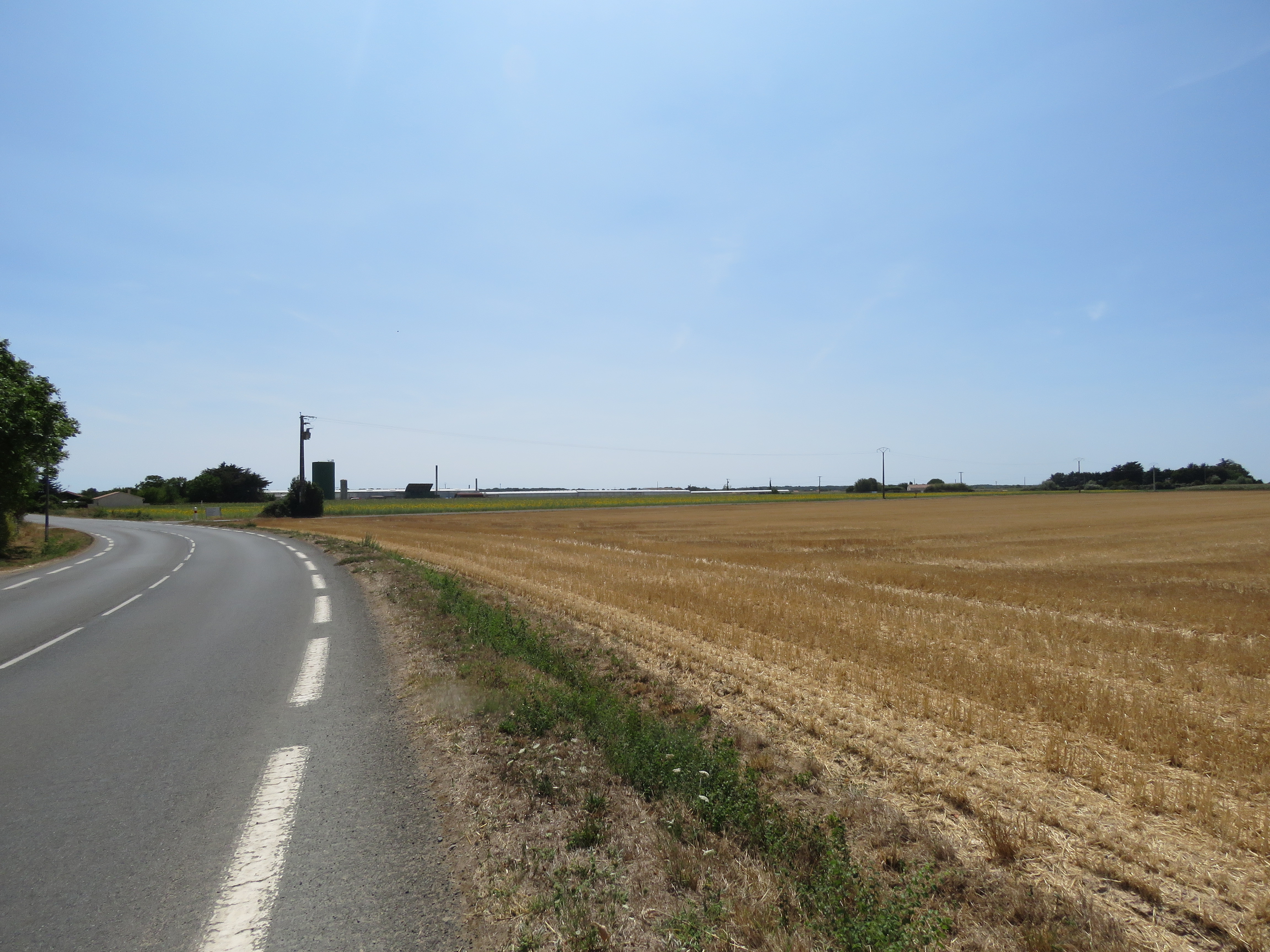 La Tigerie, à Saint-Vincent-sur-Jard