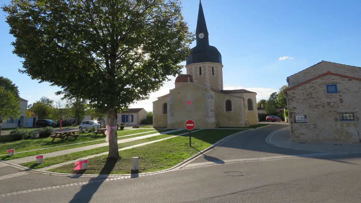 Les abords de l'église, rubans roses aux arbres pour Octobre Rose