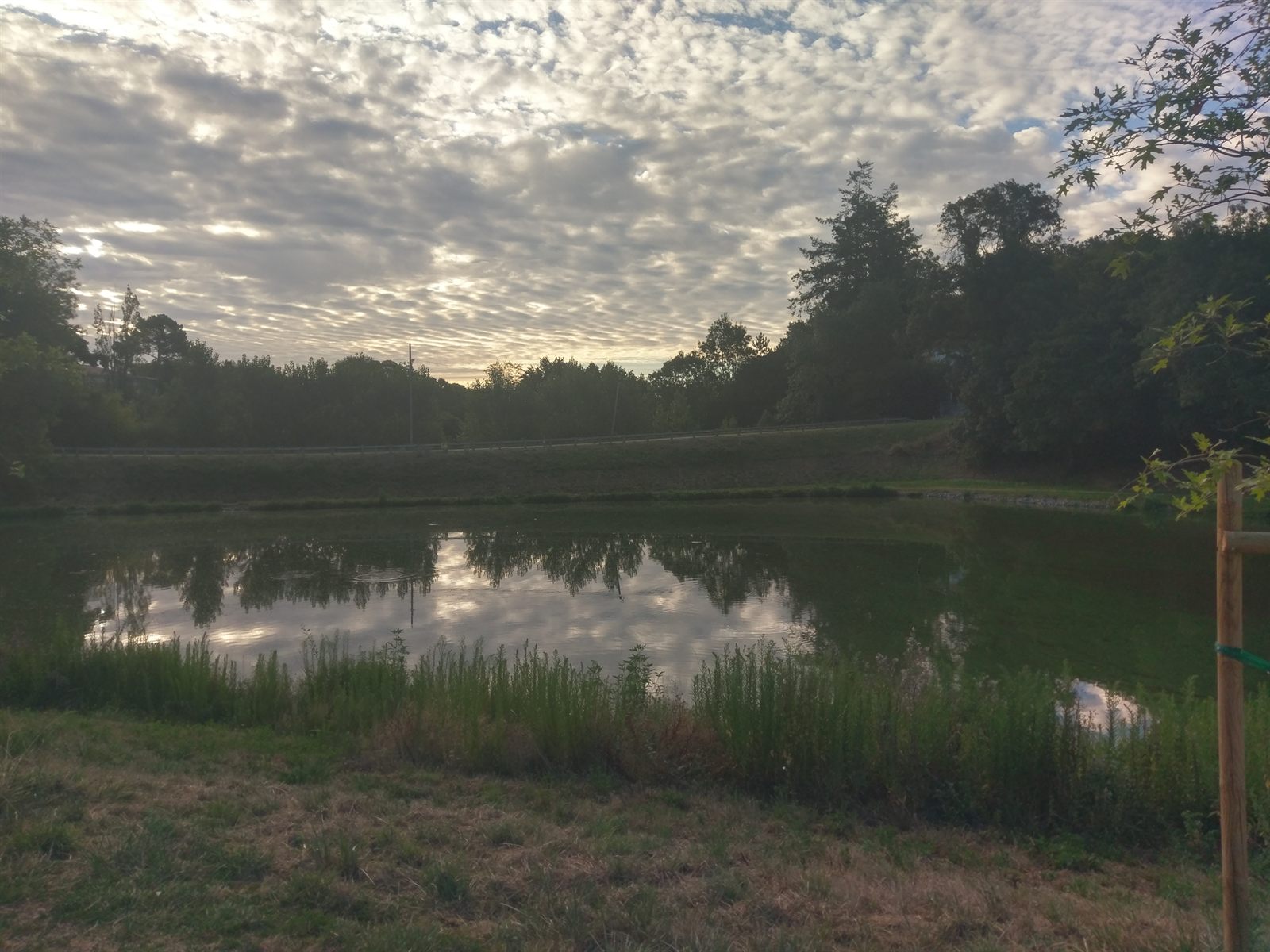 Le parc de la Huche Grolle à Moutiers-les-Mauxfaits